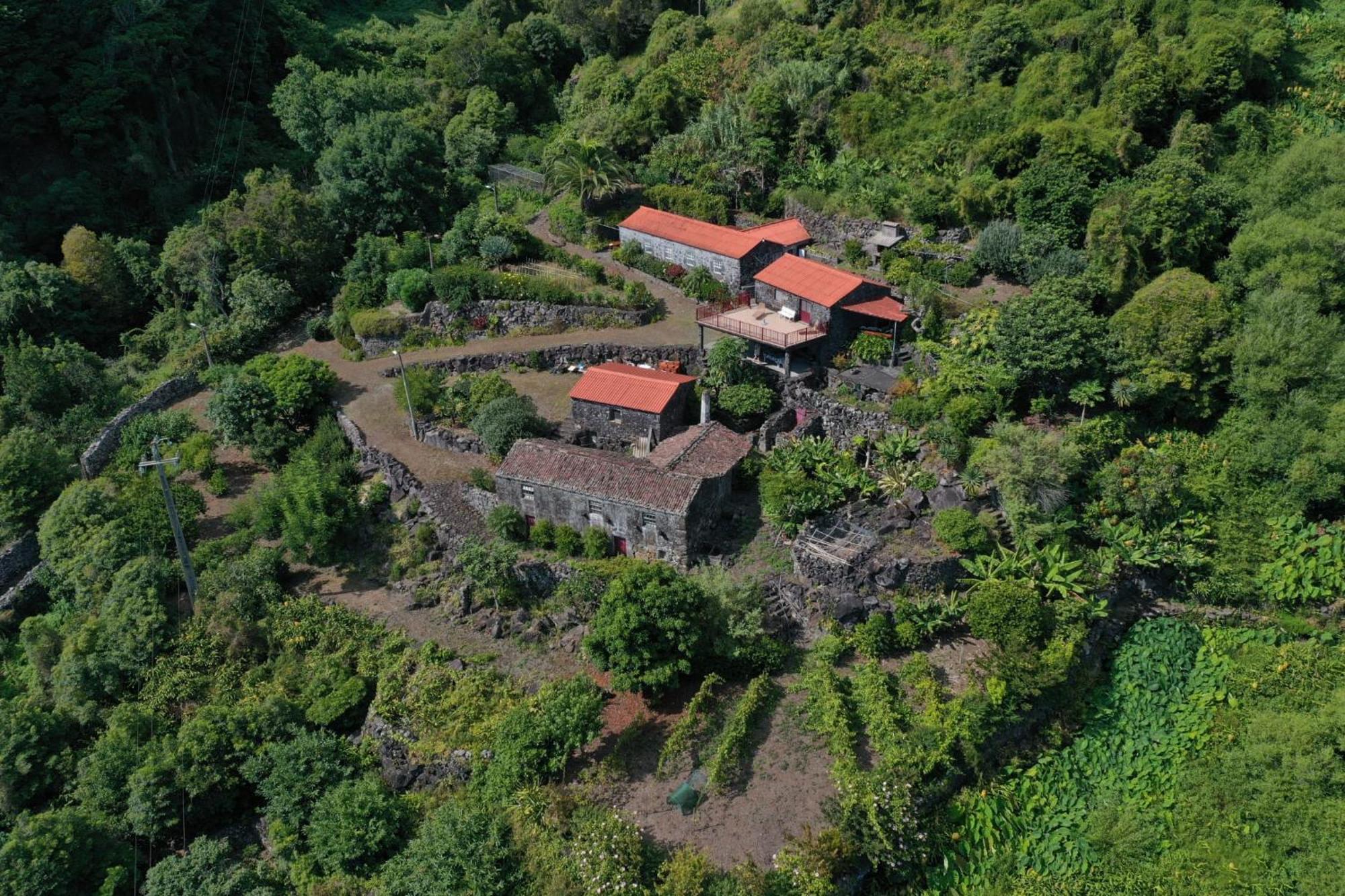 Vistalinda Farmhouse Faja dos Vimes Екстер'єр фото